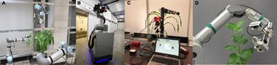 Robotic Technologies for High-Throughput Plant Phenotyping: Contemporary Reviews and Future Perspectives